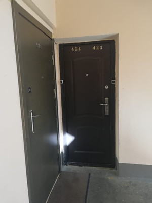 Продам однокомнатную (1-комн.) квартиру, Луначарского пр-кт, 39Ак1, Санкт-Петербург г