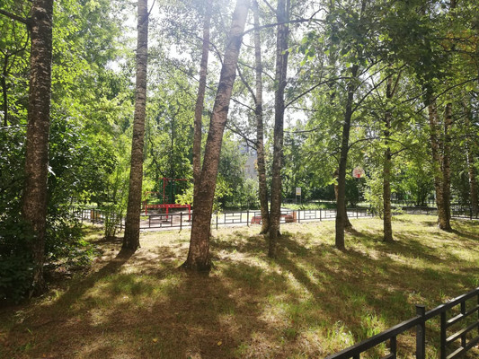 Продам однокомнатную (1-комн.) квартиру, Луначарского пр-кт, 39Ак1, Санкт-Петербург г