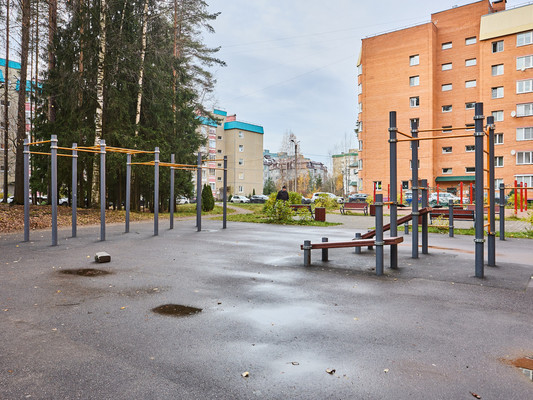 Продам однокомнатную (1-комн.) квартиру, Пограничная (Сертолово-1 мкр.) ул, 9, Сертолово г