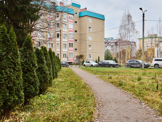 Продам однокомнатную (1-комн.) квартиру, Пограничная (Сертолово-1 мкр.) ул, 9, Сертолово г