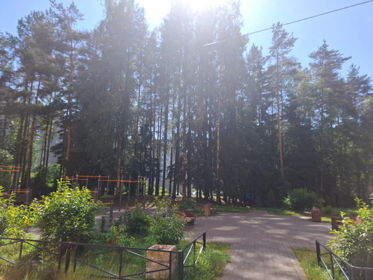 Продам однокомнатную (1-комн.) квартиру, Пограничная (Сертолово-1 мкр.) ул, 9, Сертолово г