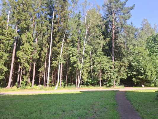 Продам однокомнатную (1-комн.) квартиру, Пограничная (Сертолово-1 мкр.) ул, 9, Сертолово г