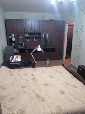 Продам однокомнатную (1-комн.) квартиру, 50 лет ВЛКСМ ул, 7, Алексин г