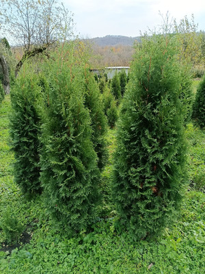 Продам трехкомнатную (3-комн.) квартиру, Тарчокова ул, 127, Нальчик г