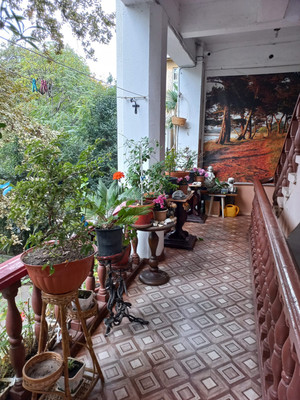 Продам трехкомнатную (3-комн.) квартиру, Войкова (Центральный р-н) ул, 49, Сочи г