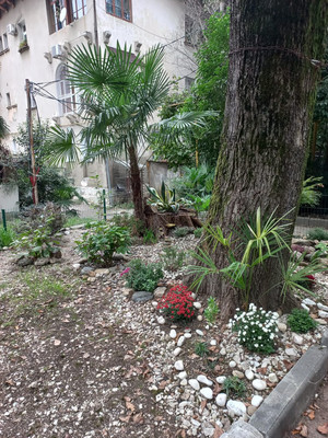 Продам трехкомнатную (3-комн.) квартиру, Войкова (Центральный р-н) ул, 49, Сочи г