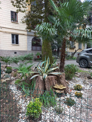 Продам трехкомнатную (3-комн.) квартиру, Войкова (Центральный р-н) ул, 49, Сочи г