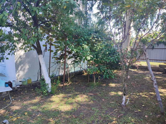 Продам дачу, Чаевод тер. СНТ, 20, Сочи г, 0 км от города