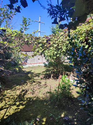 Продам дачу, Чаевод тер. СНТ, 20, Сочи г, 0 км от города