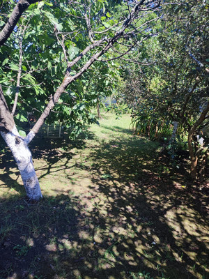 Продам дачу, Чаевод тер. СНТ, 20, Сочи г, 0 км от города