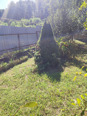 Продам дачу, Чаевод тер. СНТ, 20, Сочи г, 0 км от города