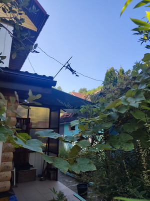 Продам дачу, Чаевод тер. СНТ, 20, Сочи г, 0 км от города