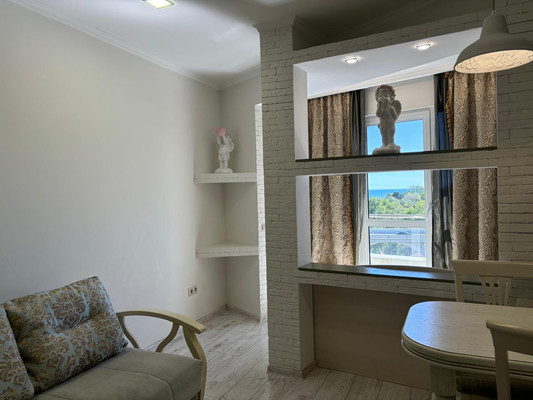 Продам однокомнатную (1-комн.) квартиру, Учительская (Хостинский р-н) ул, 9, Сочи г