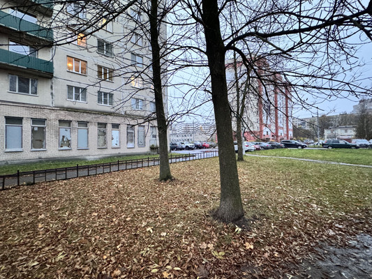 Продам двухкомнатную (2-комн.) квартиру, Художников пр-кт, 24к1, Санкт-Петербург г