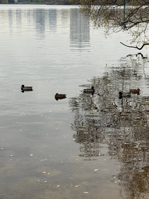 Продам трехкомнатную (3-комн.) квартиру, 100 кв-л, 1к3, Москва г