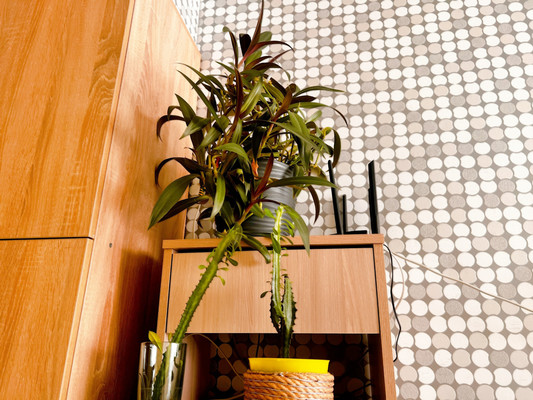 Продам однокомнатную (1-комн.) квартиру, Виноградная ул, 224/11, Беранда с