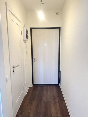 Продам однокомнатную (1-комн.) квартиру, Муринская дор, 31к3, Санкт-Петербург г