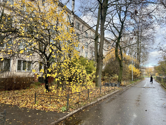 Продам трехкомнатную (3-комн.) квартиру, Трамвайный пр-кт, 21к3, Санкт-Петербург г