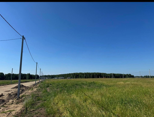 Продам участок 801 соток, ИЖС, Южная ул, Фирсово с, 0 км от города