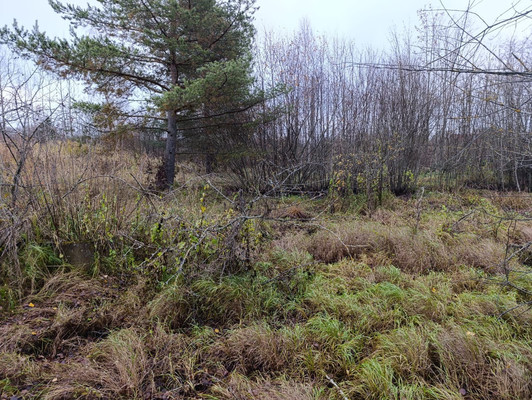 Продам участок 15 соток, ИЖС, Железнодорожная ул, Вайя д, 0 км от города