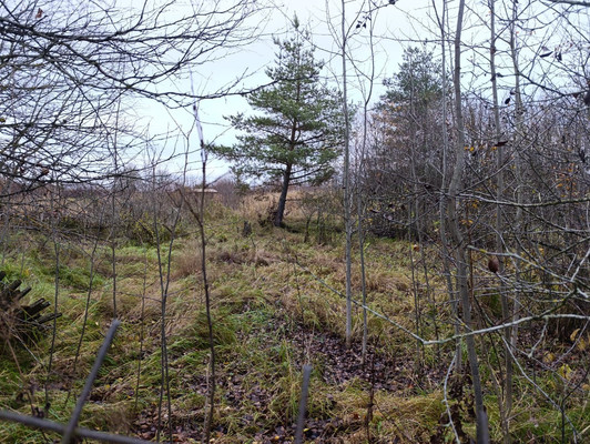 Продам участок 15 соток, ИЖС, Железнодорожная ул, Вайя д, 0 км от города