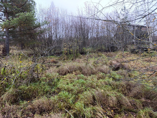 Продам участок 15 соток, ИЖС, Железнодорожная ул, Вайя д, 0 км от города