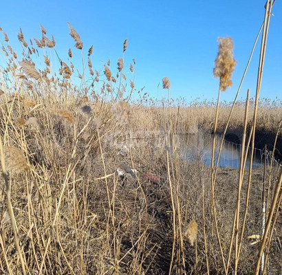 Продам участок 8,08 соток, ИЖС, Заречная ул, 12, Каневская ст-ца, 0 км от города