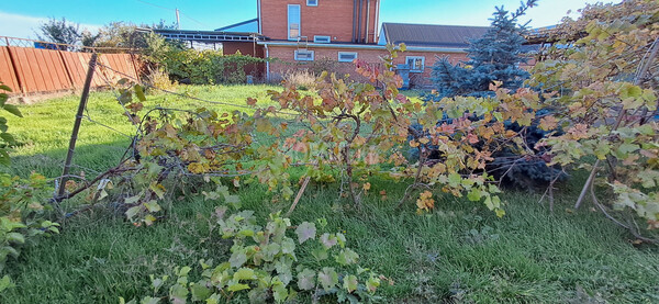 Продам дом, Краснодарская ул, 31, Стародеревянковская ст-ца, 0 км от города