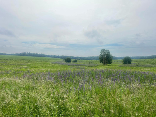 Продам землю для коммерческого использования 99,3 соток, Фермерское хоз., Березняки д