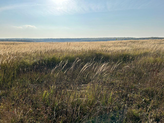 Продам землю для коммерческого использования 99,3 соток, Фермерское хоз., Березняки д