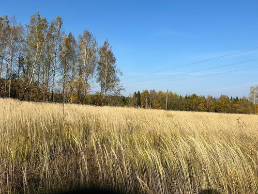 Продам землю для коммерческого использования 48,6 соток, Фермерское хоз., Березняки д