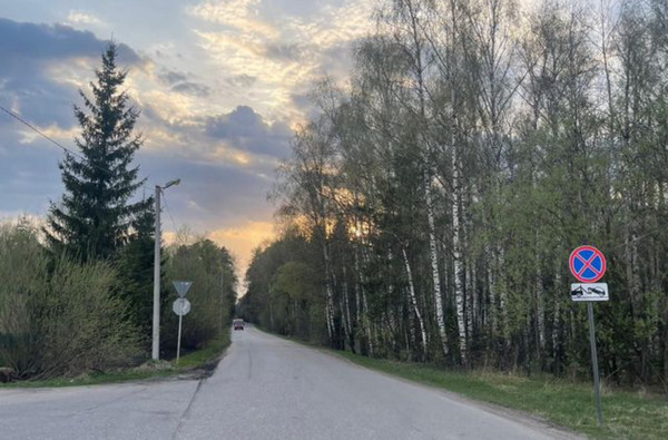 Продам землю для коммерческого использования 50 соток, Лесной п