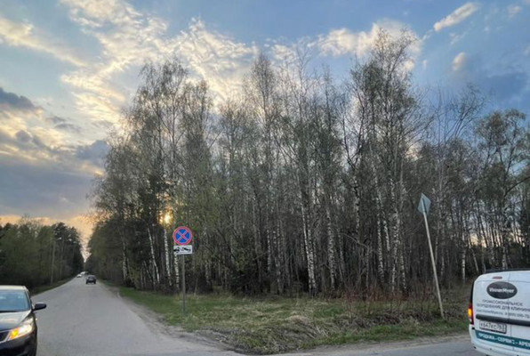 Продам землю для коммерческого использования 50 соток, Лесной п