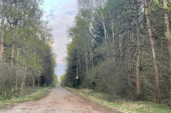 Продам землю для коммерческого использования 50 соток, Лесной п