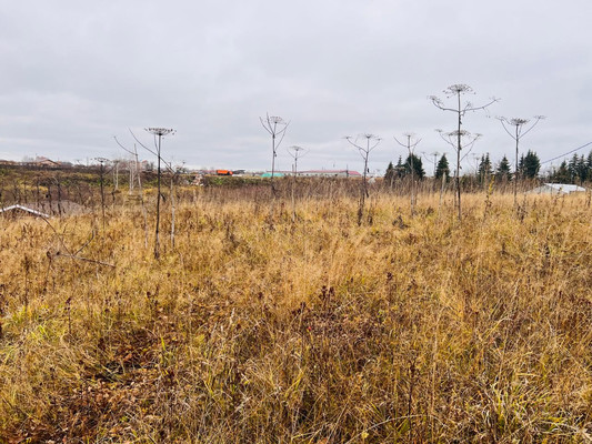 Продам участок 9,22 соток, ИЖС, Мира ул, Выльгорт с, 0 км от города