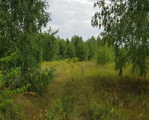 Продам участок 45 соток, ИЖС, Никитино д, 0 км от города