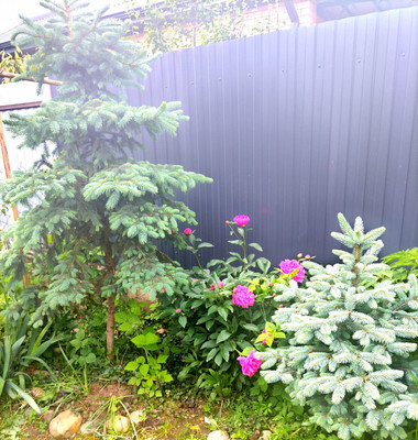 Продам дом, Пролетарская ул, 82В, Белореченск г, 0 км от города