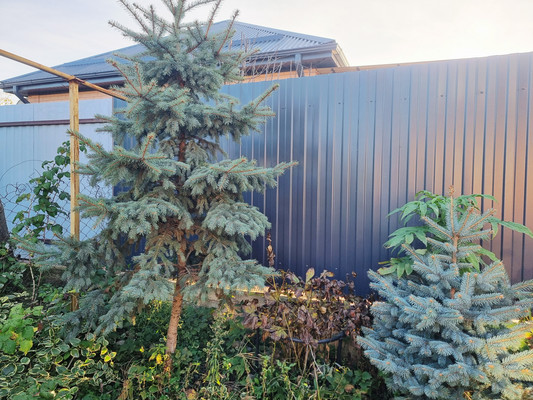 Продам дом, Пролетарская ул, 82В, Белореченск г, 0 км от города