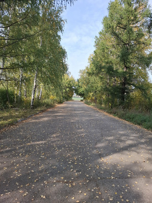 Продам коммерческое помещение 1 224,4 м2, Ленина пр-кт, Октябрьский г