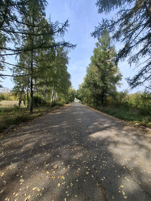 Продам коммерческое помещение 1 224,4 м2, Ленина пр-кт, Октябрьский г