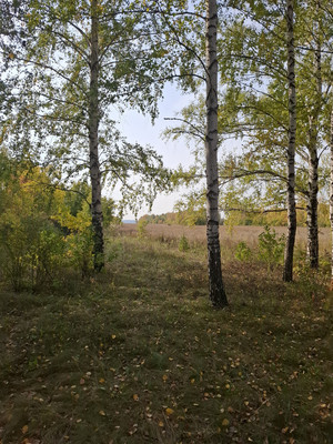 Продам коммерческое помещение 1 224,4 м2, Ленина пр-кт, Октябрьский г