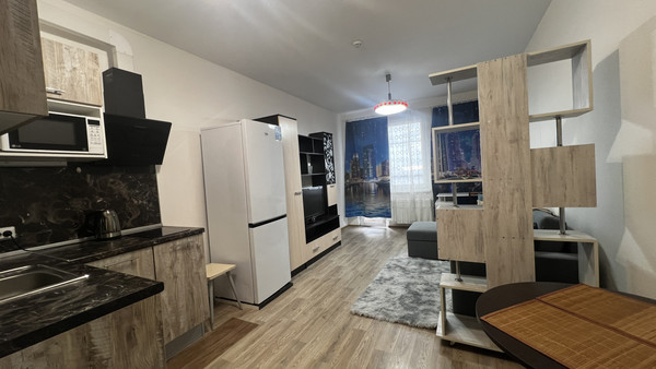 Сдам однокомнатную (1-комн.) квартиру, Васнецовский пр-кт, 20, Санкт-Петербург г