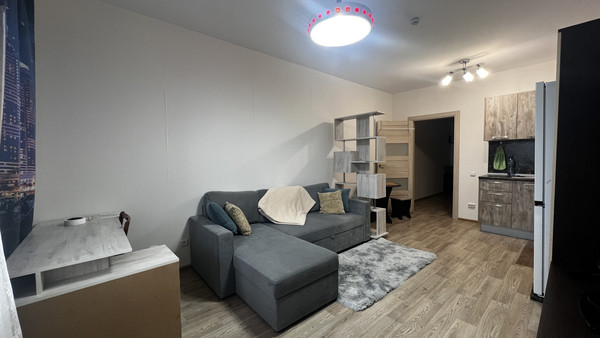 Сдам однокомнатную (1-комн.) квартиру, Васнецовский пр-кт, 20, Санкт-Петербург г