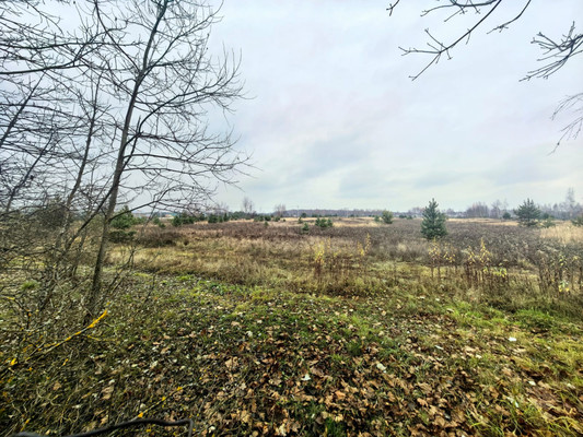 Продам дом, 41, Воскресенское д, 0 км от города