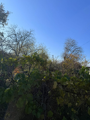 Продам участок 5,07 соток, Фермерское хоз., Каштановый (Железнодорожник снт) проезд, 363, Армавир г, 0 км от города