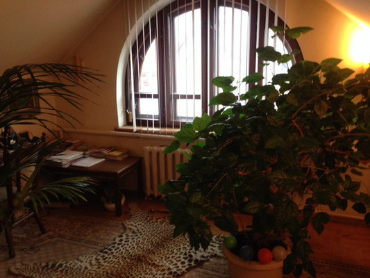 Продам коттедж, Короленко ул, 33а, Воронеж г, 0 км от города