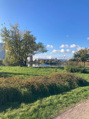 Продам двухкомнатную (2-комн.) квартиру, Малая Бухарестская ул, 3, Санкт-Петербург г