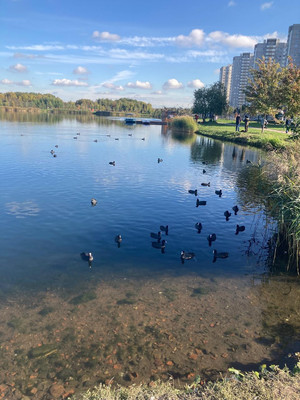 Продам двухкомнатную (2-комн.) квартиру, Малая Бухарестская ул, 3, Санкт-Петербург г