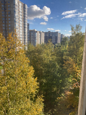 Продам двухкомнатную (2-комн.) квартиру, Малая Бухарестская ул, 3, Санкт-Петербург г