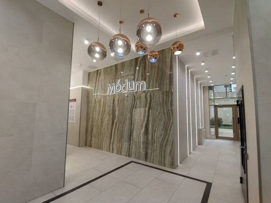 Сдам однокомнатную (1-комн.) квартиру, Авиаконструкторов пр-кт, 54, Санкт-Петербург г